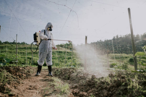 Best Affordable Pest Control Services  in Cetronia, PA
