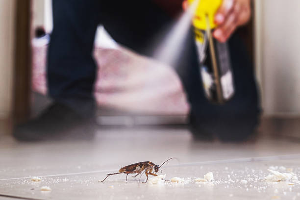 Best Residential Pest Control  in Cetronia, PA